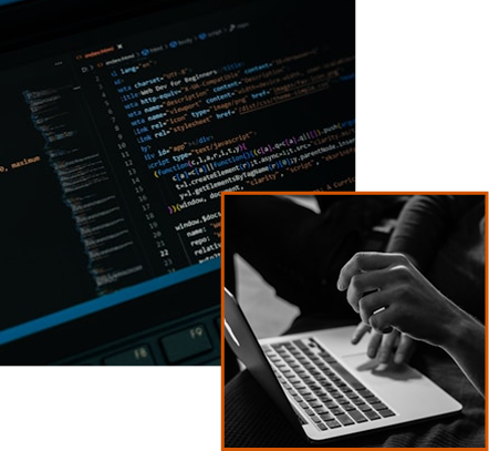 About Digitalex Solutions - Trusted web design, app development, and digital marketing company in Vizag